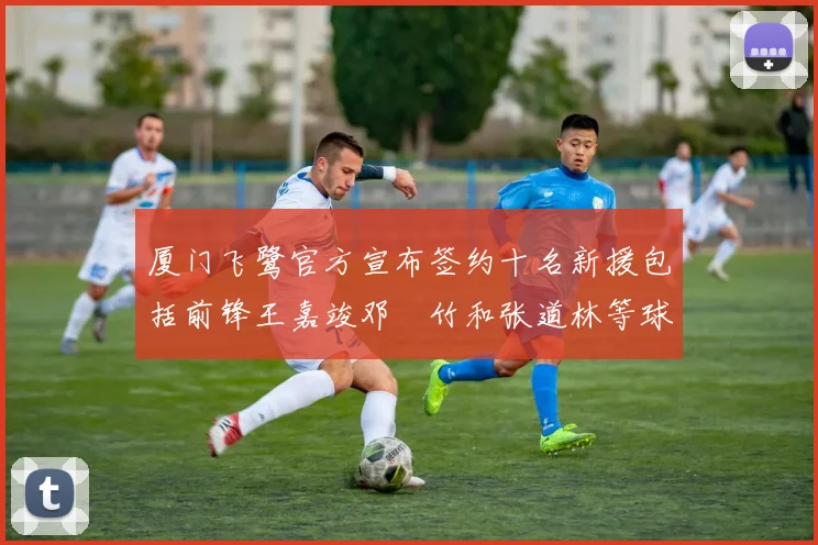 厦门飞鹭官方宣布签约十名新援包括前锋王嘉竣邓棽竹和张道林等球员