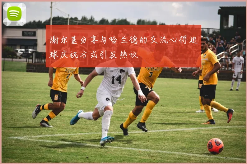 谢尔基分享与哈兰德的交流心得进球庆祝方式引发热议