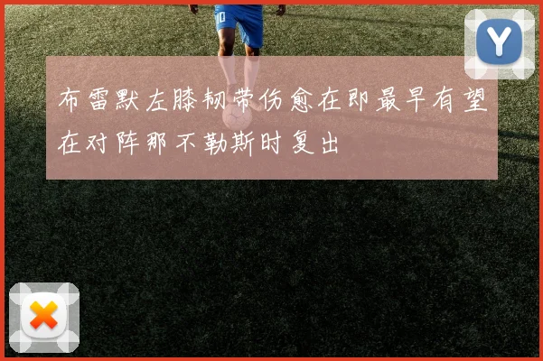 布雷默左膝韧带伤愈在即最早有望在对阵那不勒斯时复出